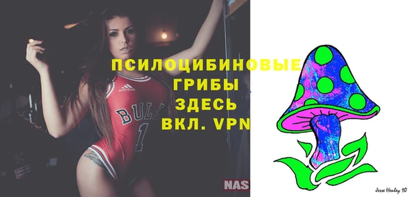 спайс Алексеевка