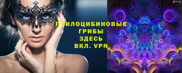 амф Алексин