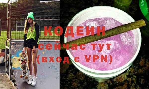 индика Арсеньев