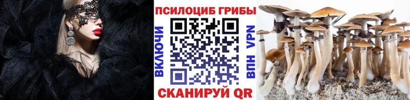 Галлюциногенные грибы MAGIC MUSHROOMS где купить Игра